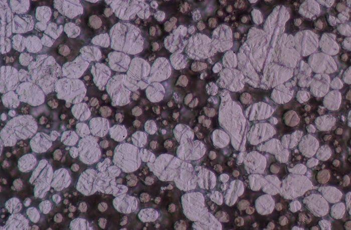 Image of pressed nickel and aluminium powders in an optical microscope.